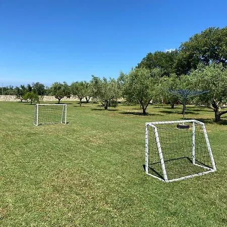 Korina فيلة *